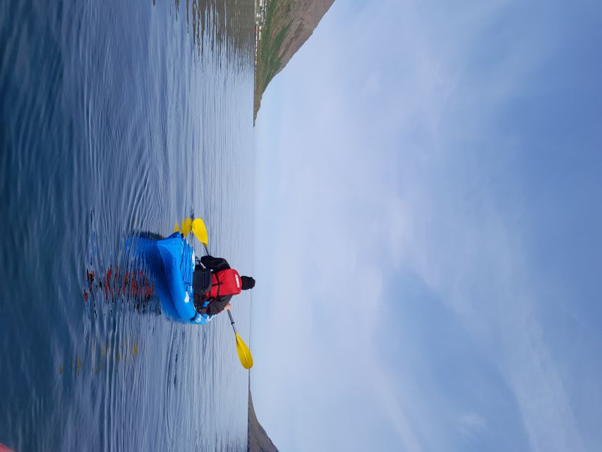 Siglufjörður / Siglufjordur: Guided kayak tour. - Why kayaking gives Siglufjörður a different look