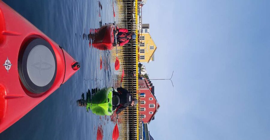 Siglufjörður / Siglufjordur: Guided kayak tour. - Following the fjord past the shipwreck