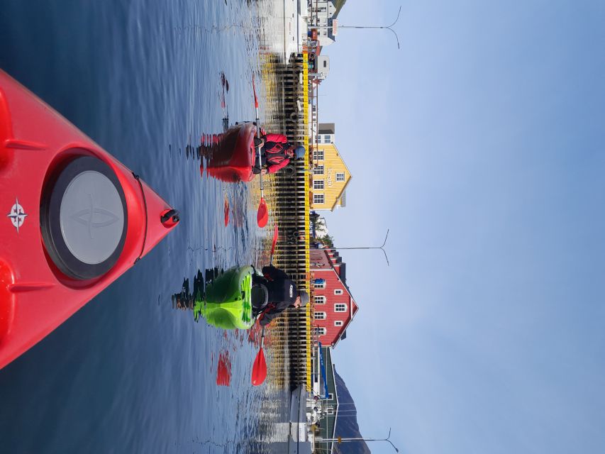 Siglufjörður / Siglufjordur: Guided kayak tour. - Is $107 a fair price?