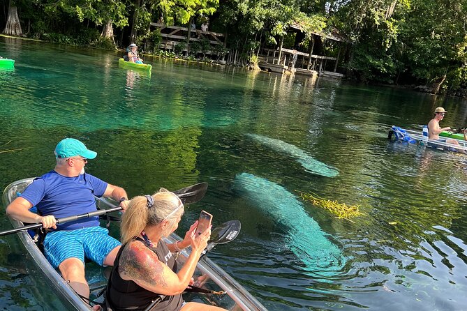 Silver Springs Clear Kayak Manatee, Monkey & Wildlife Adventures - What the two-hour paddle is like