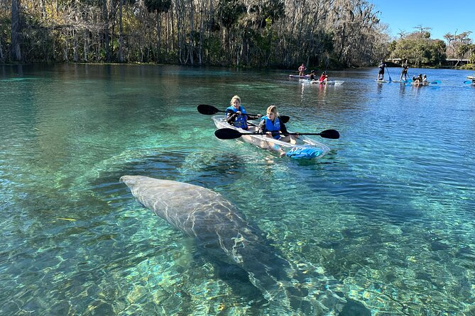 Silver Springs Clear Kayak Manatee, Monkey & Wildlife Adventures - Who will enjoy this most