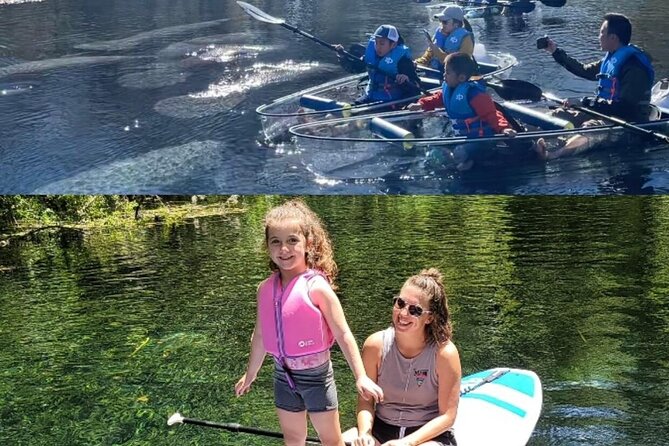 Silver Springs Clear Kayak Manatee, Monkey & Wildlife Adventures - The wildlife you might see below and beside the boat