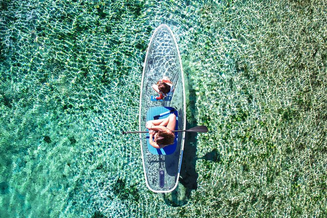 Silver Springs: Clear Kayak Wildlife Adventure - The guides make a real difference