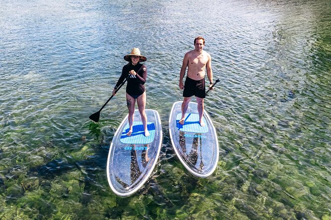 Silver Springs: Clear Kayak Wildlife Adventure - How demanding is the two-hour paddle?