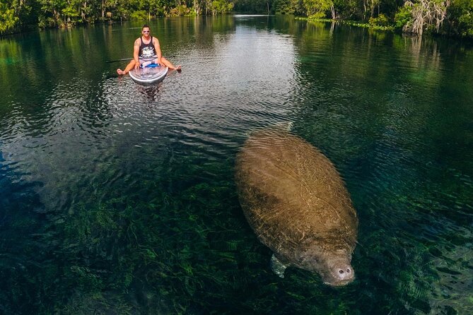 Silver Springs: Clear Kayak Wildlife Adventure - Who should book this Silver Springs outing?