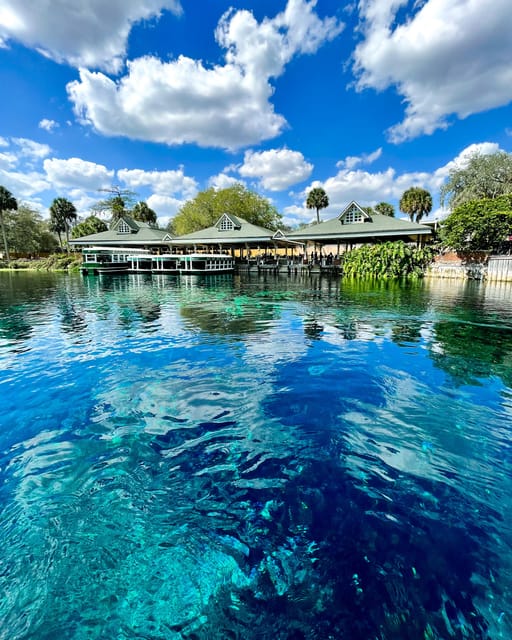 Silver Springs: Clear Kayak Wildlife Tour - Key points to know before booking