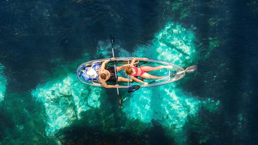 Silver Springs: Clear Kayak Wildlife Tour - Why a clear kayak changes the Silver River experience