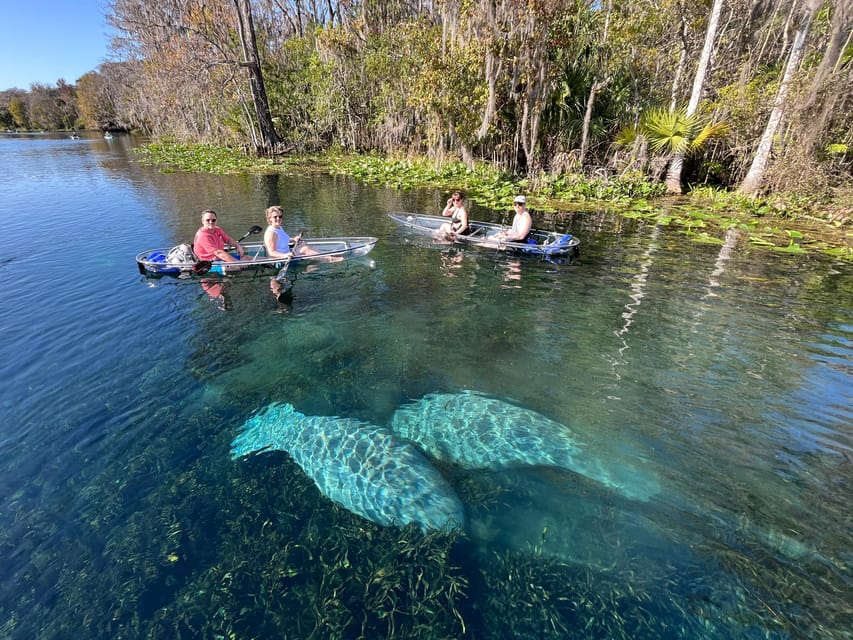 Silver Springs: Clear Kayak Wildlife Tour - What the 90 minutes, or two hours, actually means