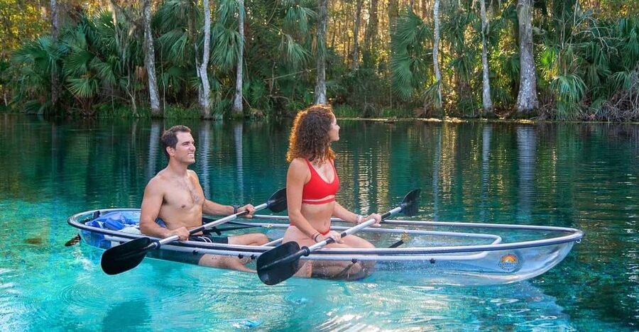 Silver Springs: Clear Kayak Wildlife Tour - Wildlife: exciting, but never guaranteed