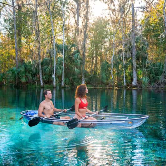 Silver Springs: Clear Kayak Wildlife Tour - What to wear and bring