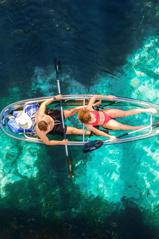 Silver Springs: Clear Kayak Wildlife Tour - Starting at Silver Springs State Park