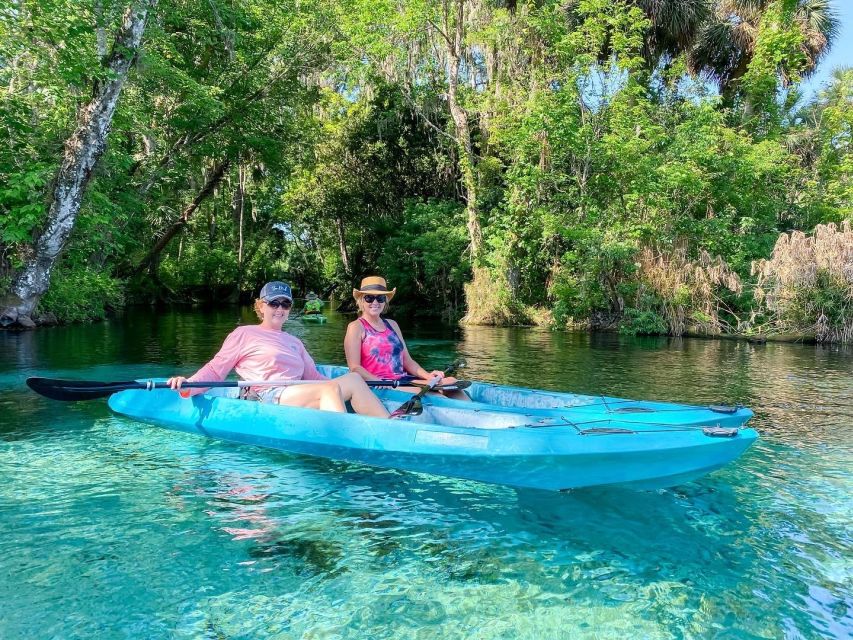 Silver Springs: Glass Bottom Kayak and Wildlife Tour - Why Silver Springs looks best from the water