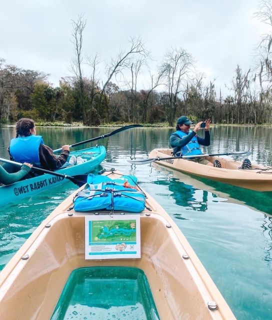 Silver Springs: Glass Bottom Kayak and Wildlife Tour - Paddling over springs and clear blue water