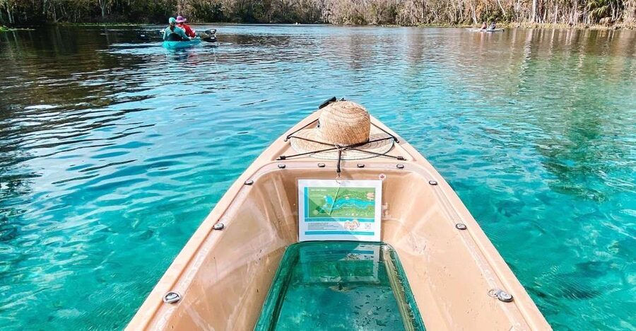 Silver Springs: Glass Bottom Kayak and Wildlife Tour - Guides add more than directions
