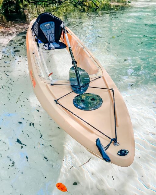 Silver Springs: Glass Bottom Kayak and Wildlife Tour - What the $65 price really covers