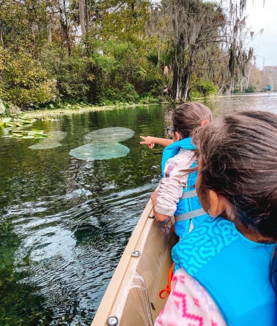 Silver Springs: Glass Bottom Kayak and Wildlife Tour - Who will enjoy this two-hour outing