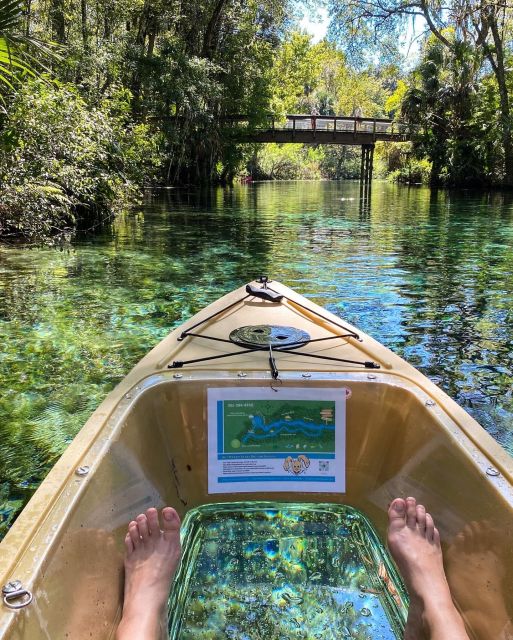 Silver Springs: Glass Bottom Kayak and Wildlife Tour - Practical tips for a smoother launch