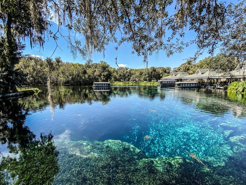 Silver Springs: Glass Bottom Kayak and Wildlife Tour - Should you book the Silver Springs kayak tour?
