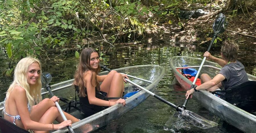 Silver Springs: Guided Clear Kayak or Paddleboard Gator Tour - Starting at Silver Springs State Park