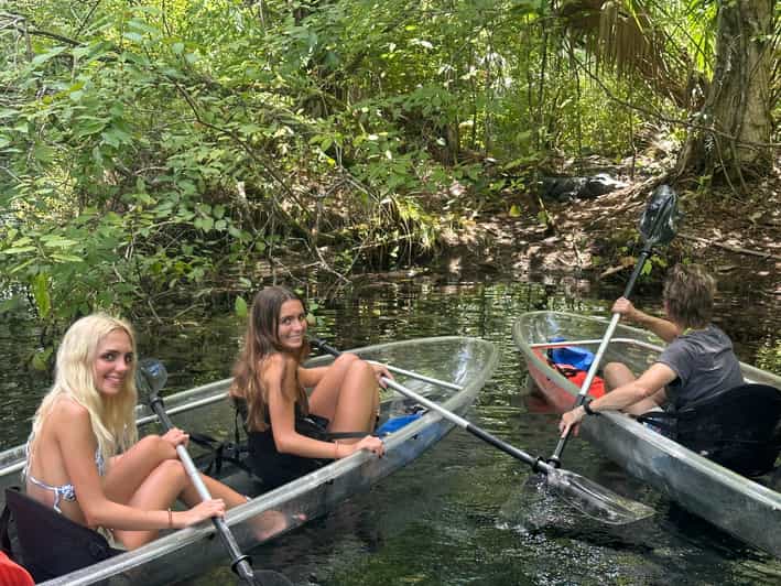Silver Springs: Guided Clear Kayak or Paddleboard Gator Tour - Clear water, alligators, and a close look at Florida wildlife