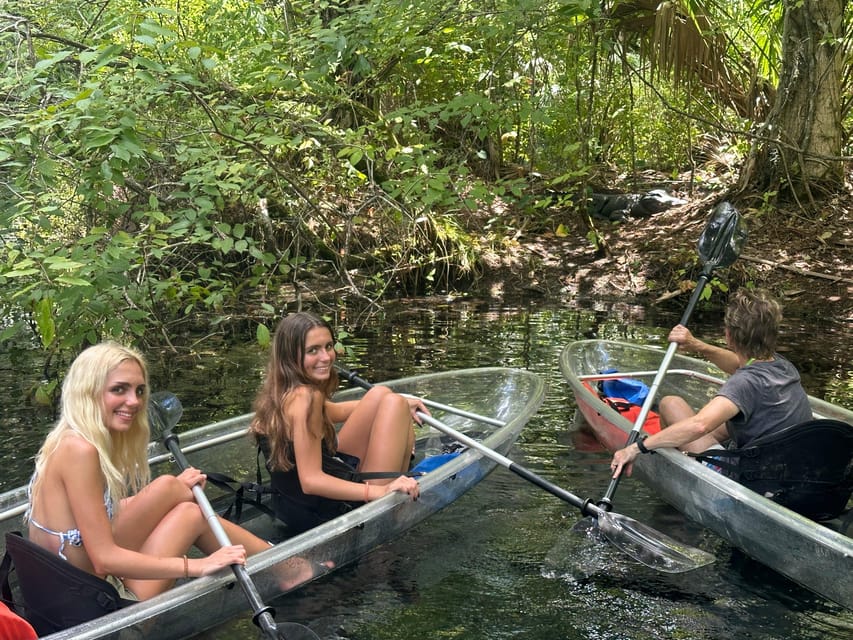 Silver Springs: Guided Clear Kayak or Paddleboard Gator Tour - A two-hour route with a steady rhythm