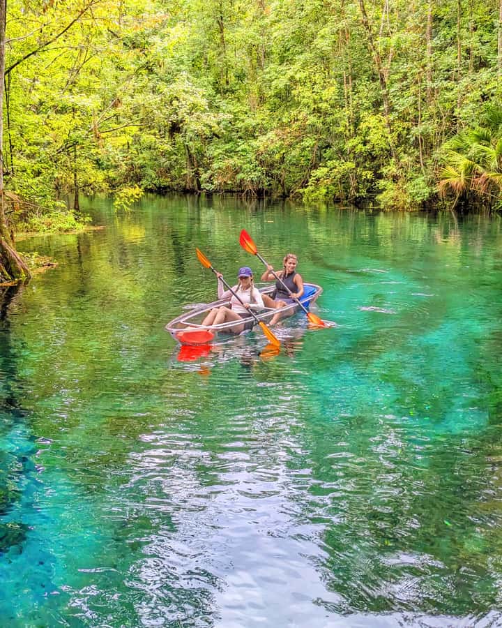Silver Springs: Jungle Kayaking & Paddleboarding Adventure - Key points to know before you paddle
