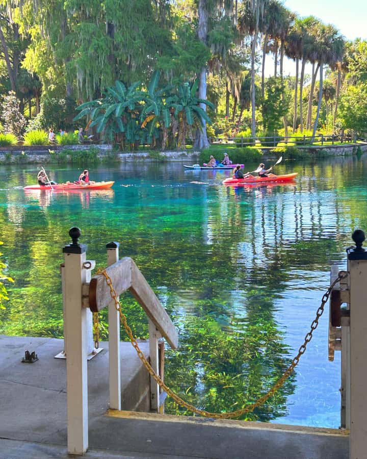 Silver Springs: Jungle Kayaking & Paddleboarding Adventure - Why Silver Springs looks best from a kayak