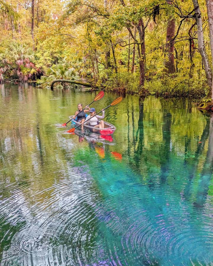 Silver Springs: Jungle Kayaking & Paddleboarding Adventure - Three hours among cypress trees and clear water