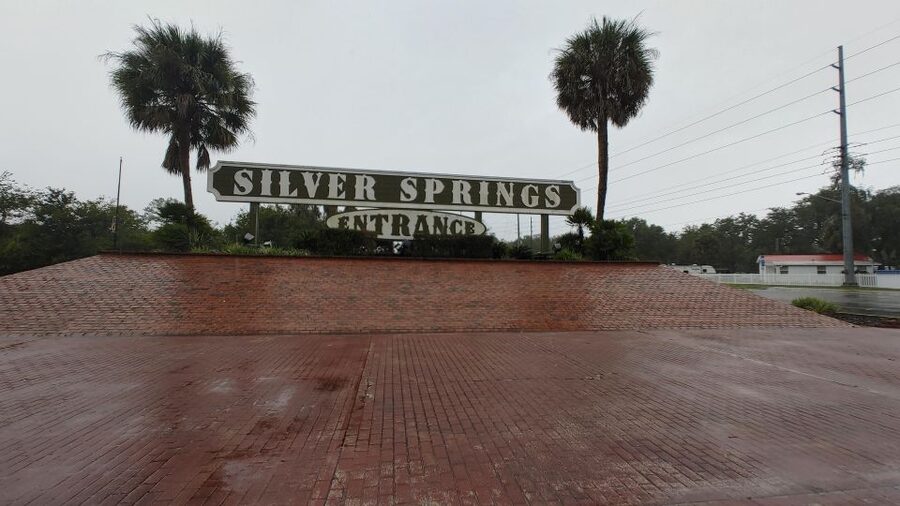 Silver Springs Manatee Kayaking Tour - Why Silver Springs is worth seeing from a kayak