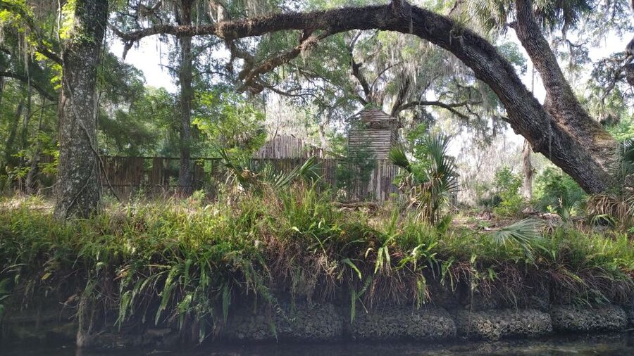 Silver Springs Manatee Kayaking Tour - The guide can make or break this kind of trip