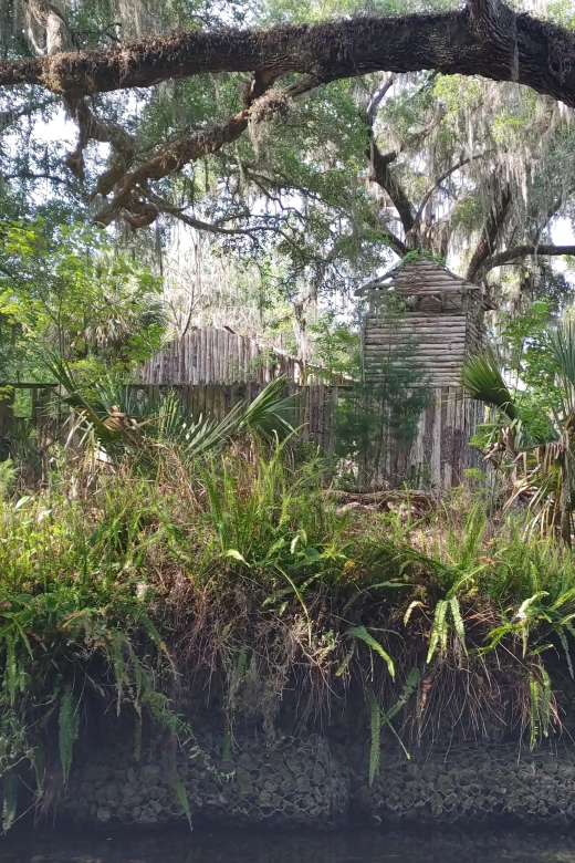Silver Springs Manatee Kayaking Tour - When to book this Silver Springs tour