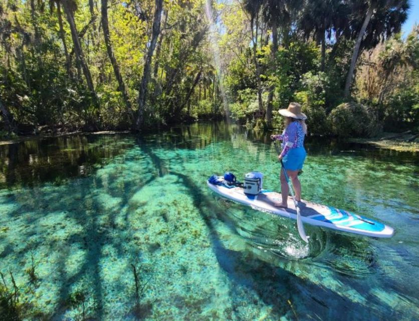 Silver Springs: Manatees and Monkeys Clear Kayak Guided Tour - Silver Springs water is the main attraction