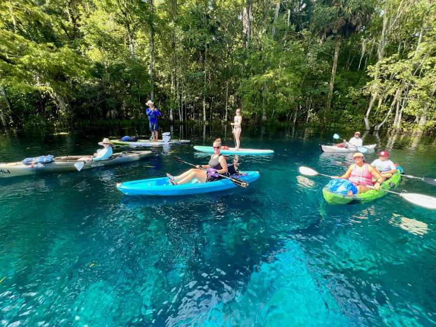 Silver Springs: Manatees and Monkeys Clear Kayak Guided Tour - Manatees are the best reason to choose your season