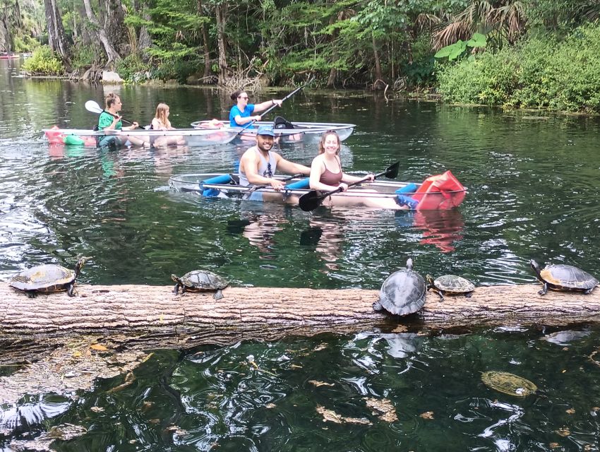 Silver Springs: Manatees and Monkeys Clear Kayak Guided Tour - Monkeys are possible, not promised