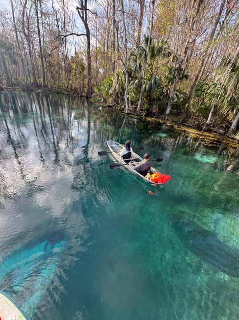 Silver Springs: Silver River Guided Kayak Tour - Starting at Silver Springs State Park