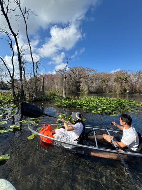 Silver Springs: Silver River Guided Kayak Tour - Why the Transparent Kayaks Matter