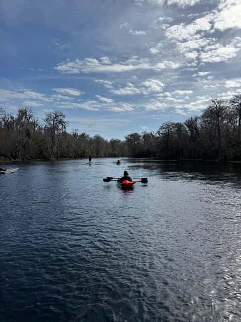 Silver Springs: Silver River Guided Kayak Tour - $58 Value for a Private Guided Outing