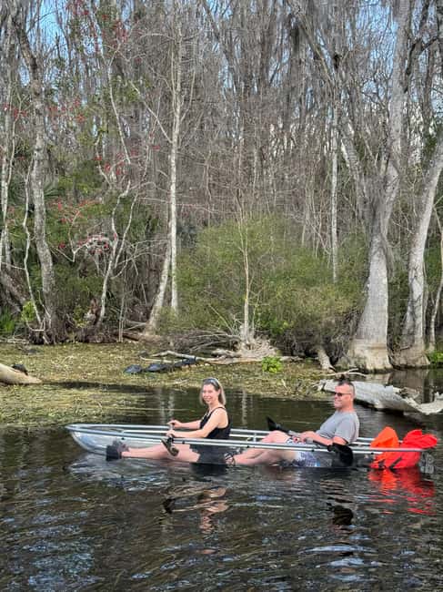 Silver Springs: Silver River Guided Kayak Tour - Ninety Minutes on the Spring-Fed River