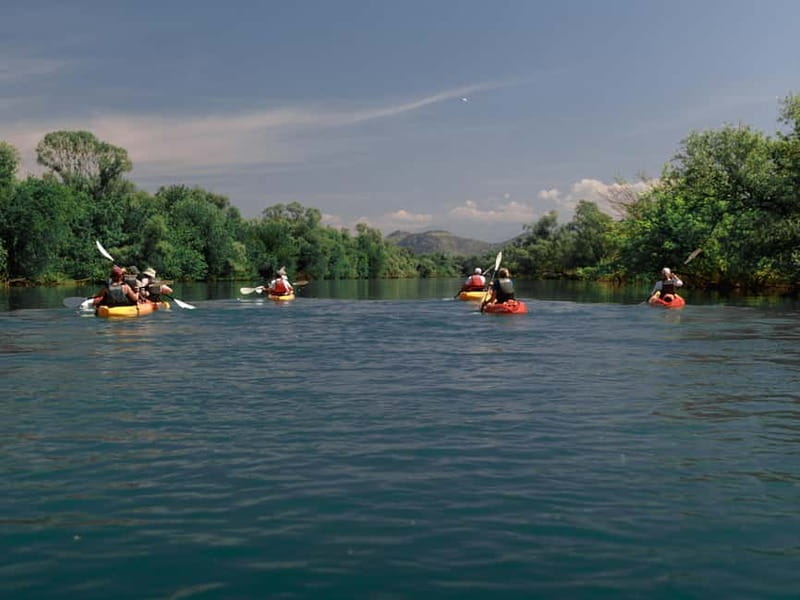 Skadar Lake: 4-Hour Guided tours on Kayak - Key points to know before paddling