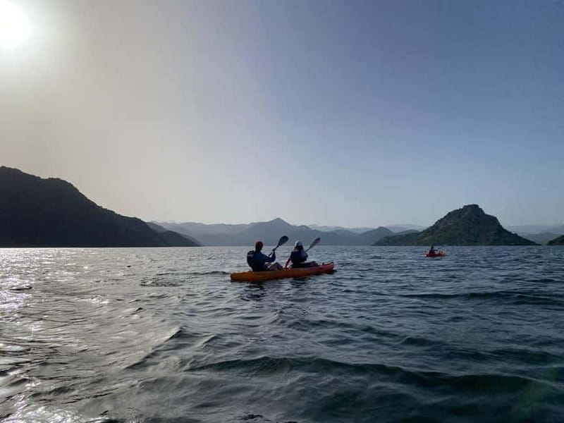 Skadar Lake: 4-Hour Guided tours on Kayak - Returning to Vranjina by kayak