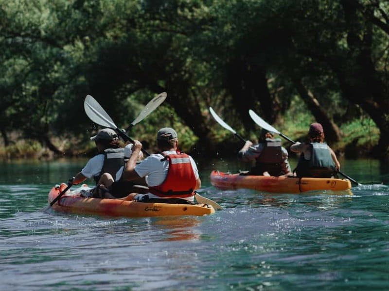 Skadar Lake: 4-Hour Guided tours on Kayak - What the $53 price gives you