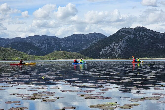 Skadar Lake on kayaks Experience with Spectacular Views - Key points at a glance