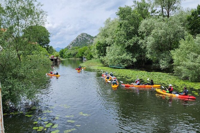 Skadar Lake on kayaks Experience with Spectacular Views - Guide support and what beginners should expect