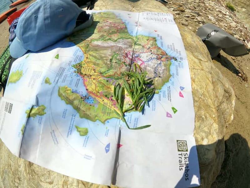Skiathos: Guided Sea Kayaking Tour with Swim Stop - Why this kayak trip shows you a different Skiathos