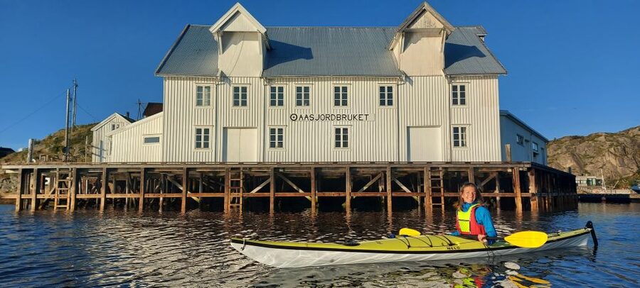 Skrova Island : 3hours Guided Kayak Tour - What the $126 price really buys you