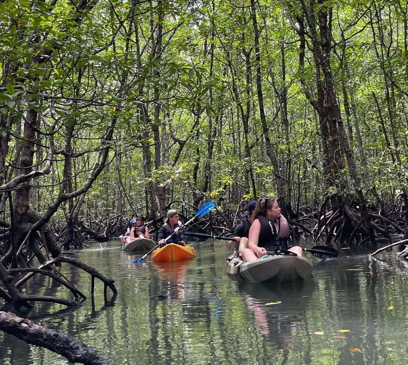 Small Group, Big Heart: Kilim Karst Mangrove Kayak Adventure - Fried rice at the floating fish farm