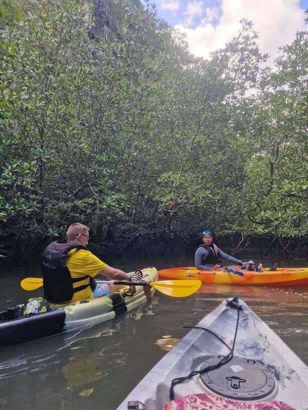 Small Group, Big Heart: Kilim Karst Mangrove Kayak Adventure - The Bat Cave and its limestone walls