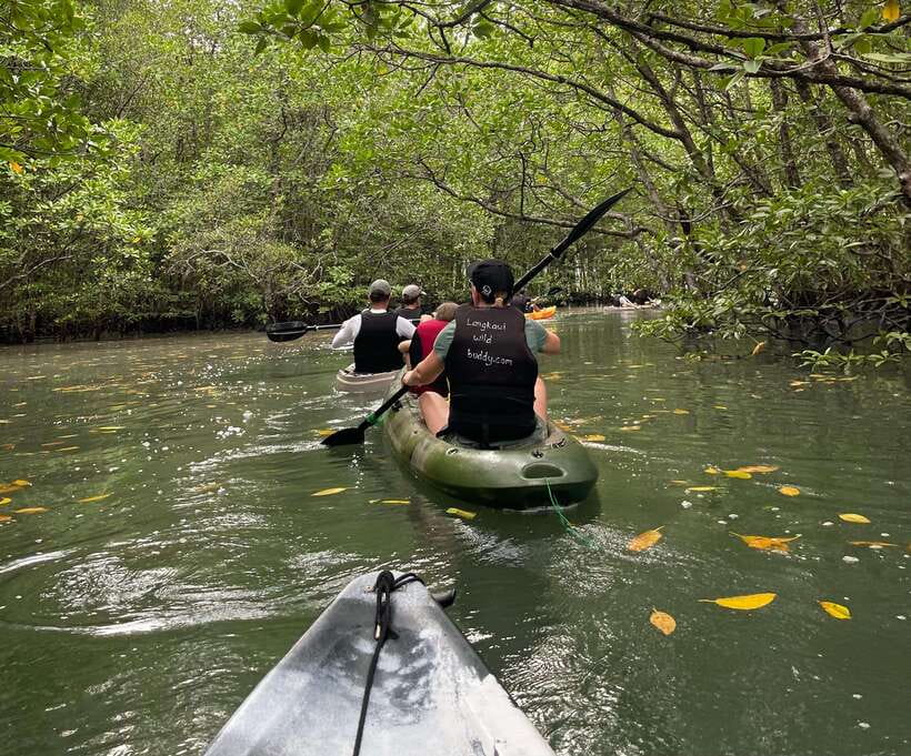 Small Group, Big Heart: Kilim Karst Mangrove Kayak Adventure - What the $69 price really covers