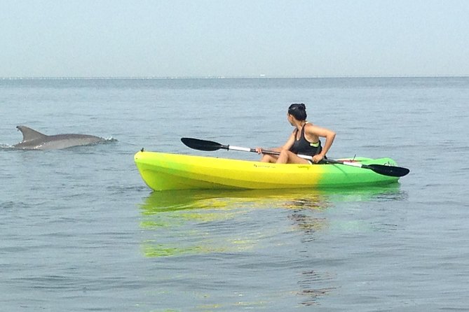 Small Group Dolphin Kayak Eco-Tour - Following the coast toward Cape Henry