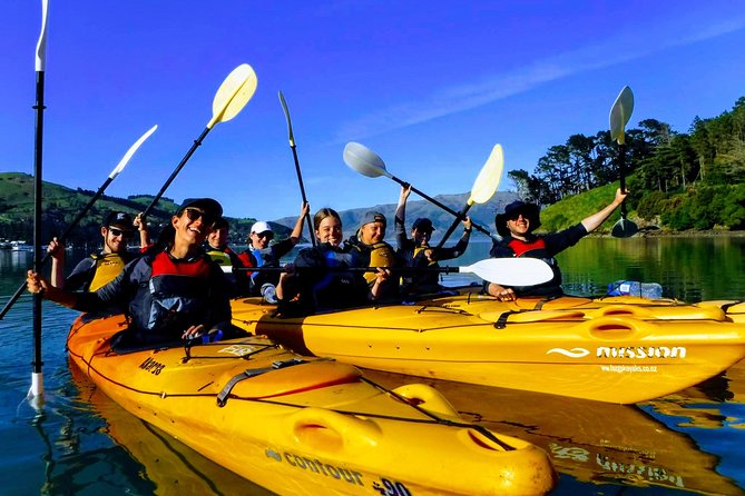 Small group guided sea kayaking in Akaroa marine reserve - Key points to know before you book